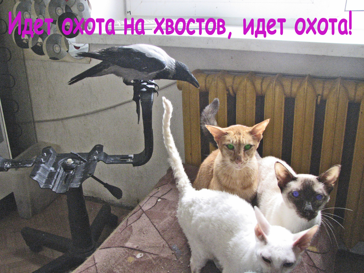 http://s3.hostingkartinok.com/uploads/images/2012/09/89713e09f704d49673c2ee88e06a003f.jpg
