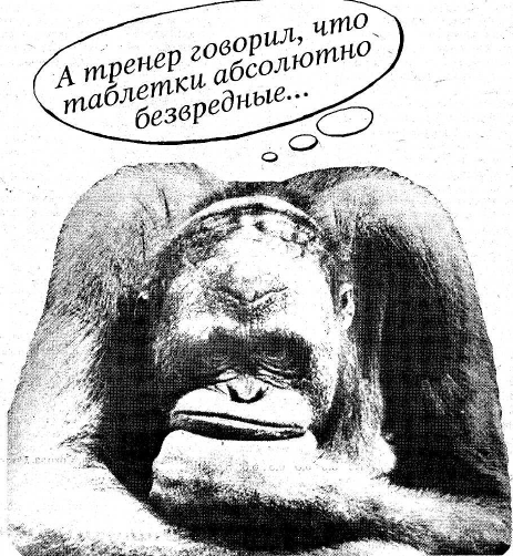 Подшивка «Прессбола» #4. Что общего у брестского «Динамо» с раненым соколом и вислозадой ослицей, дряхлой и безразличной