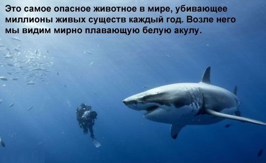 c1dd8d71182099113ae1373e9cc686a2.jpg