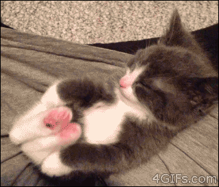 46b9ed51b7536817f6ae2b168efe33ce.gif