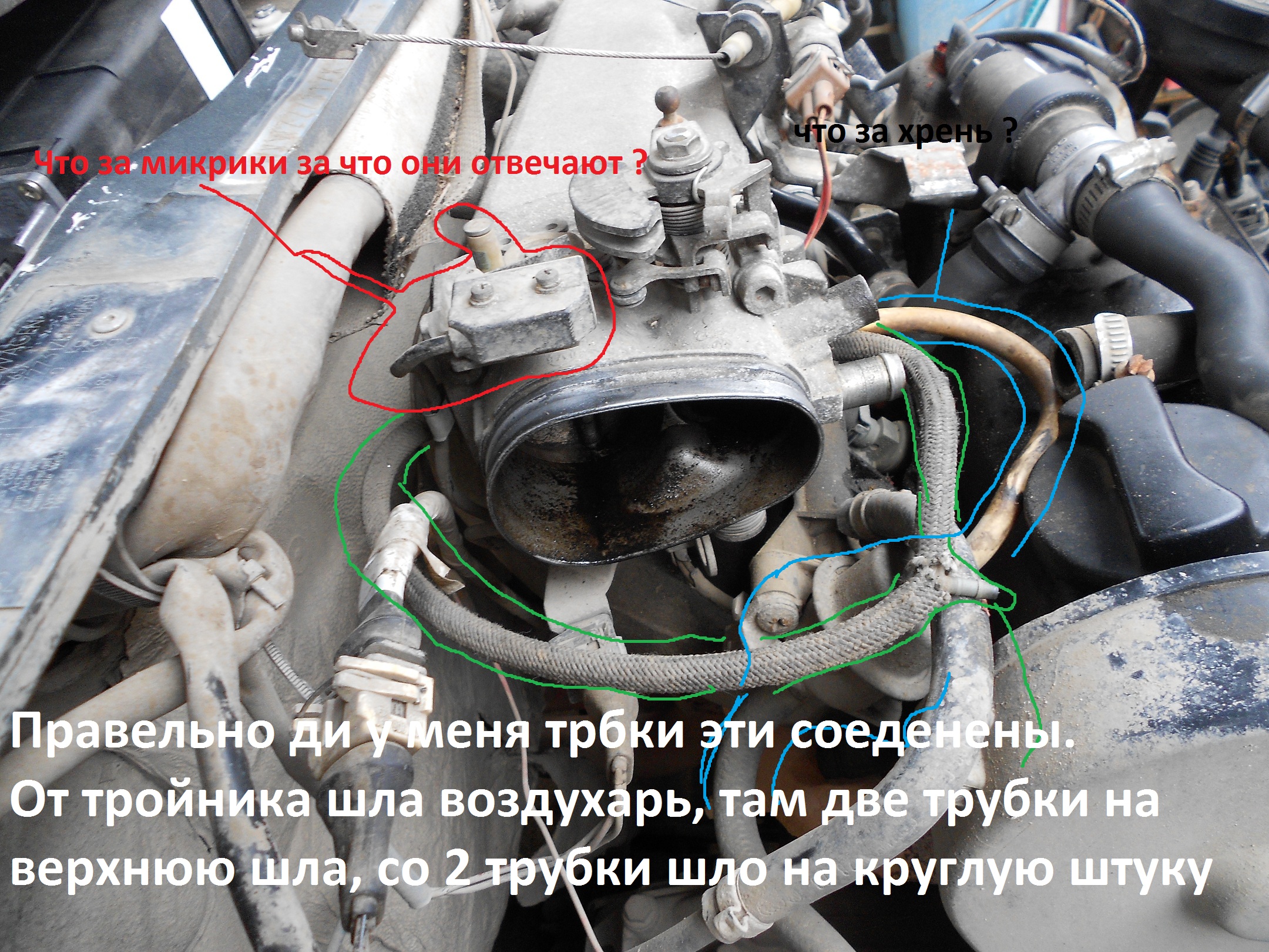 0d5495acae9d657e03087ce384f42361.jpg