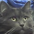 0fef49324156bf3d72a72d74cbbe711d.jpeg