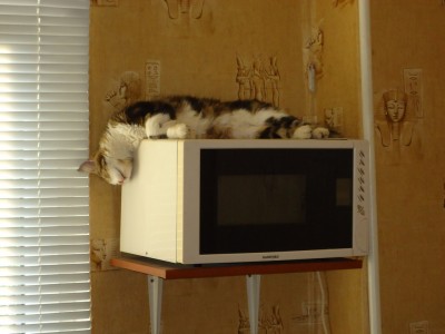 Зображення