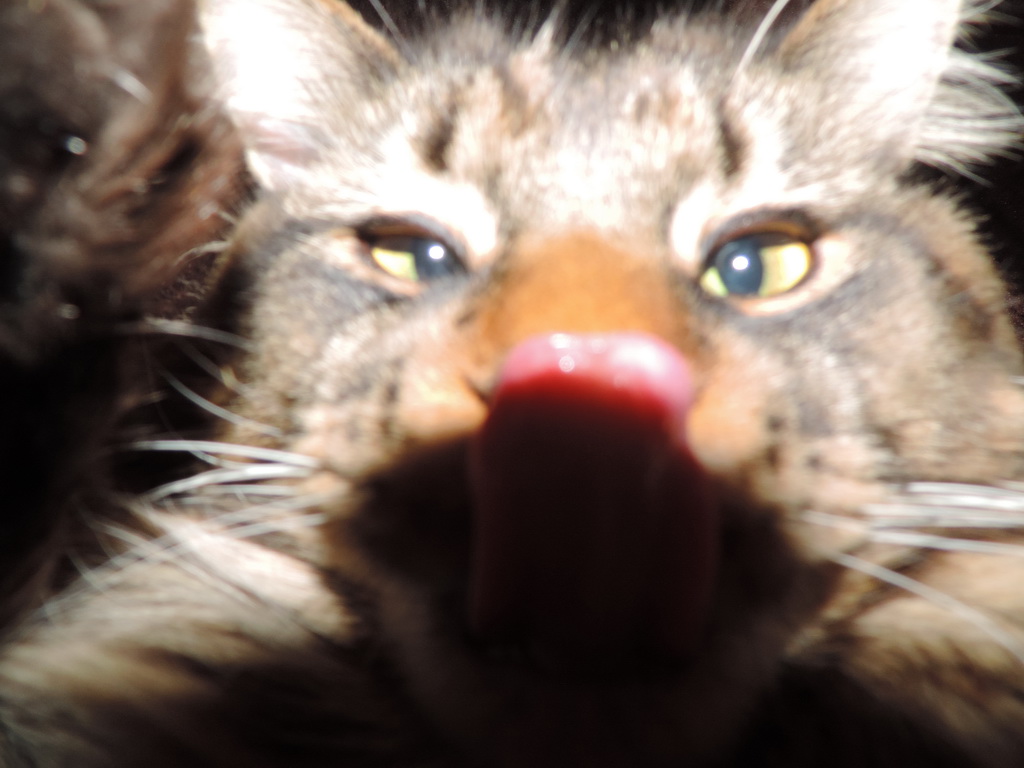 Зображення