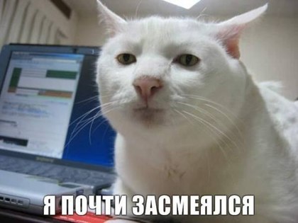 556d297510329e55d12cb373dd451789.jpg