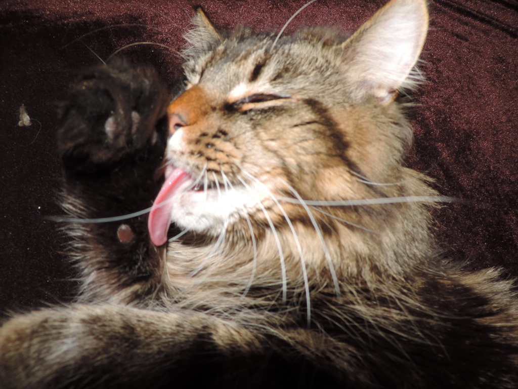 Зображення