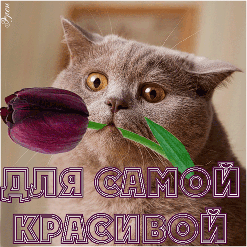 Как выглядит самая красивая открытка