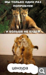 0d79fa9045e76effc49325d3206724f4.png