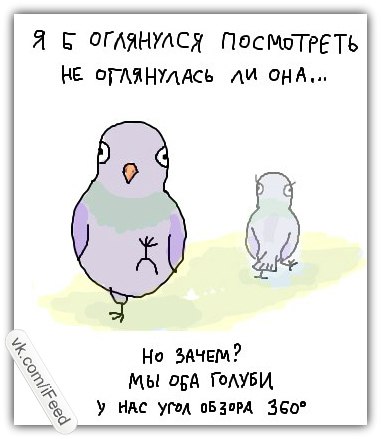 Обернулась увидела. Обернулась увидела