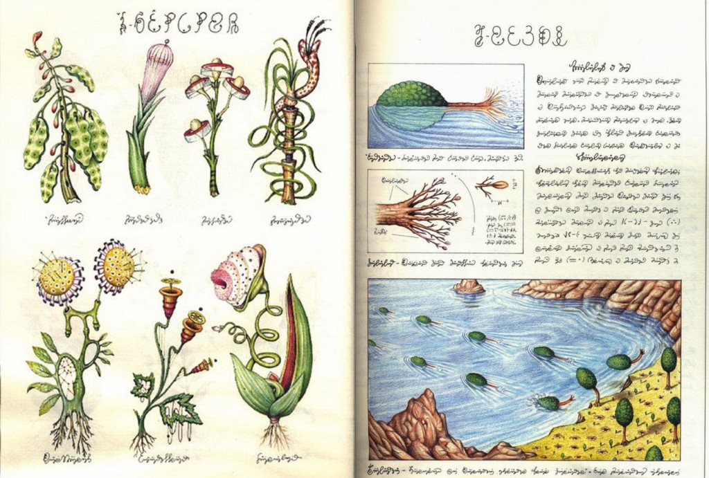 Кодекс серафини картинки