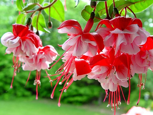 d2abb58b1a15b8f742639f0ef2d744d0.jpg