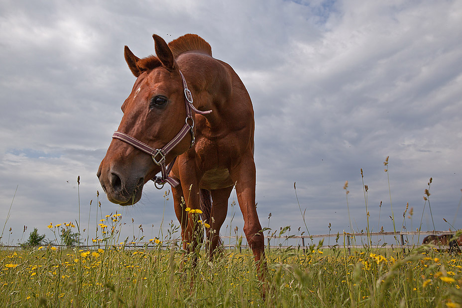 http://s3.hostingkartinok.com/uploads/images/2013/07/0541ff1aa0c15646a6dc045a9a532e25.jpg