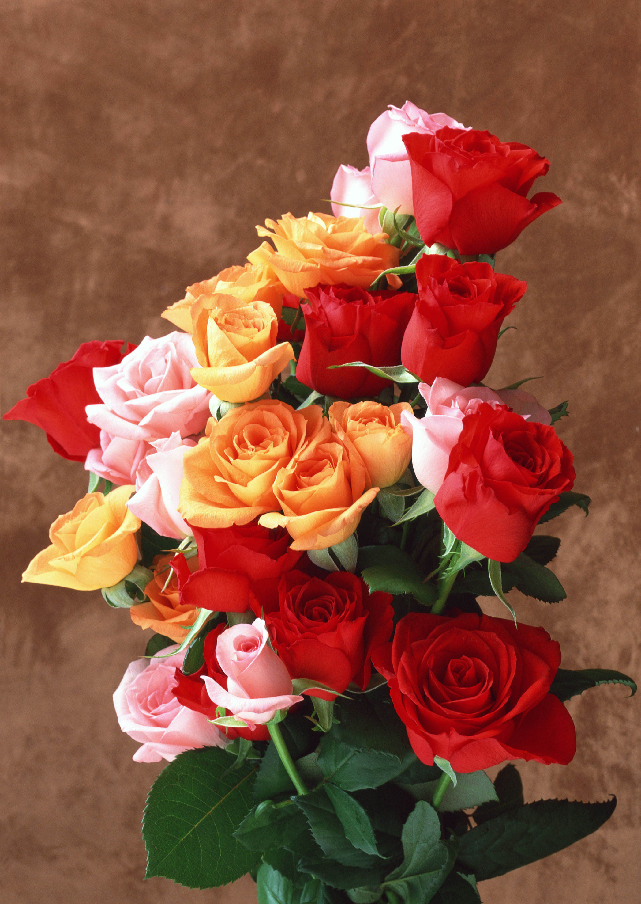 Букет фото открытка. Красивый букет. Шикарный букет цветов. Шикарные цветы. Красивый букет роз.
