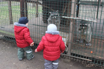 Контактный мини-зоопарк в ЖК Золотые Ключи, ул. Минская 1