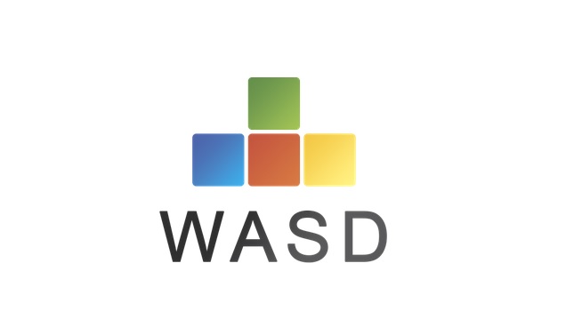 Wasd чей проект